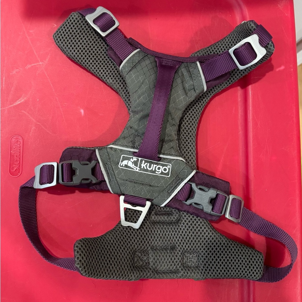 Kurgo Purple & Gray Dog Harness